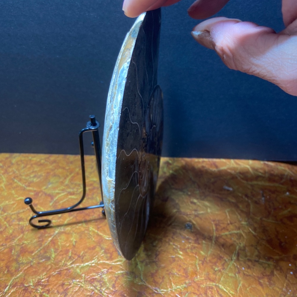 Ammonite fossil slice 577 g = 1.29 lbs 7"x6"  natural fossil healing - Picture 6 of 7